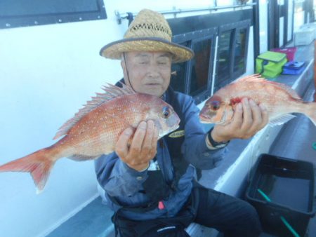 大進丸（愛知） 釣果