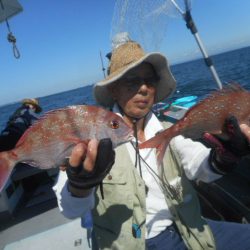 大進丸（愛知） 釣果