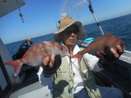 大進丸（愛知） 釣果