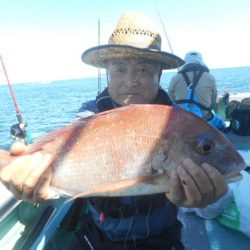 大進丸（愛知） 釣果