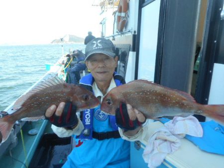 大進丸（愛知） 釣果