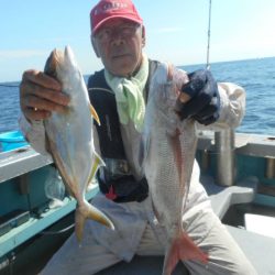 大進丸（愛知） 釣果