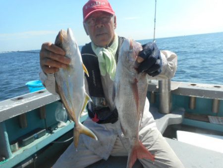 大進丸（愛知） 釣果