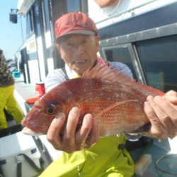 大進丸（愛知） 釣果