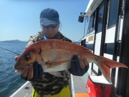 大進丸（愛知） 釣果