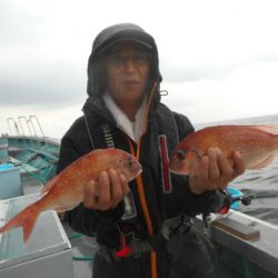 大進丸（愛知） 釣果