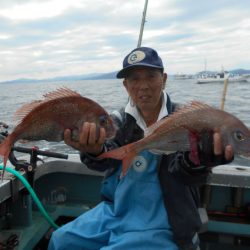 大進丸（愛知） 釣果