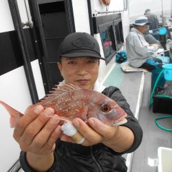 大進丸（愛知） 釣果