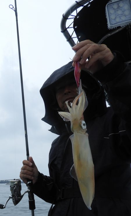 Fisherman Dreams DI 釣果