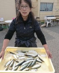 和歌山マリーナシティ釣り公園 釣果