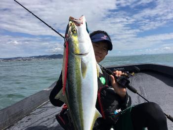 シーマジカル 釣果