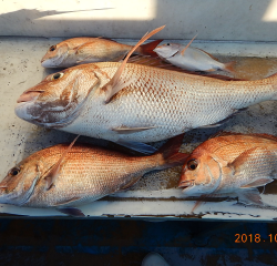 作十丸 釣果