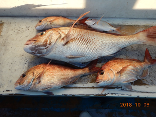 作十丸 釣果