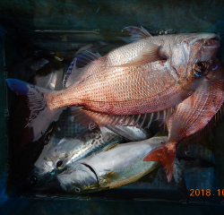 作十丸 釣果