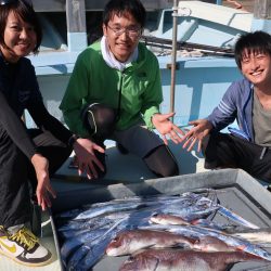 はらまる 釣果