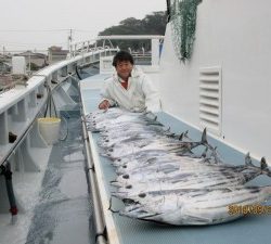 太郎丸 釣果