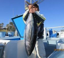 太郎丸 釣果