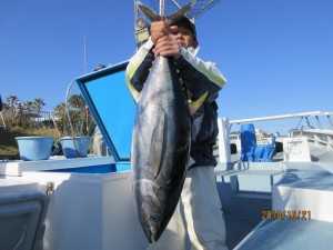 太郎丸 釣果