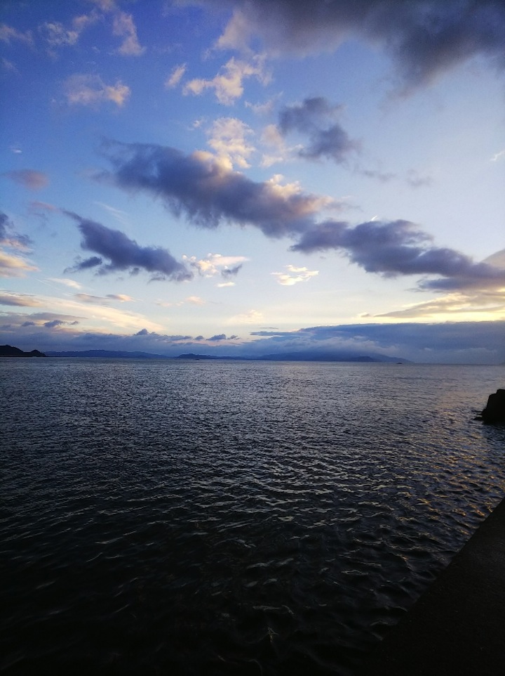 徳島県堤防ショアジギング成績トップルアー