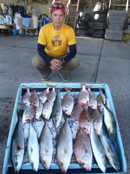 久六釣船 釣果