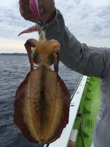 松栄丸 釣果