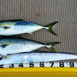 火遠理丸（ほおりまる） 釣果