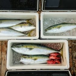 火遠理丸（ほおりまる） 釣果