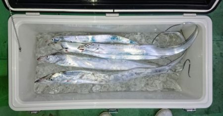 火遠理丸（ほおりまる） 釣果