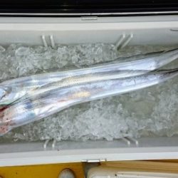 火遠理丸（ほおりまる） 釣果