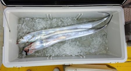 火遠理丸（ほおりまる） 釣果