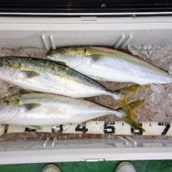 火遠理丸（ほおりまる） 釣果