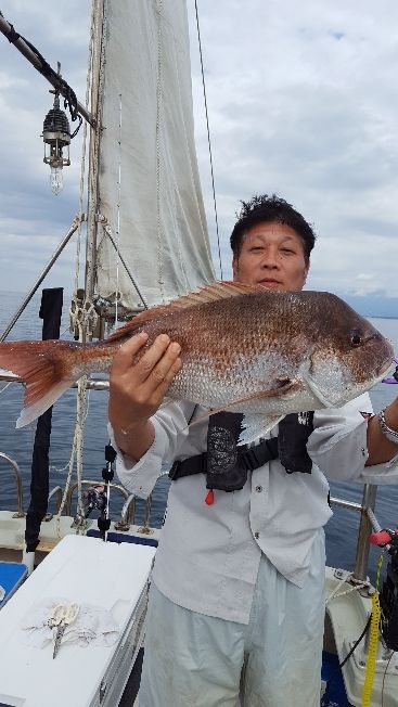 海峰 釣果