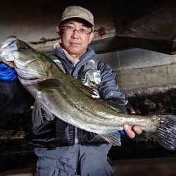 TOPGUN衣浦 釣果