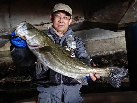 TOPGUN衣浦 釣果