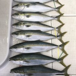 剣 釣果