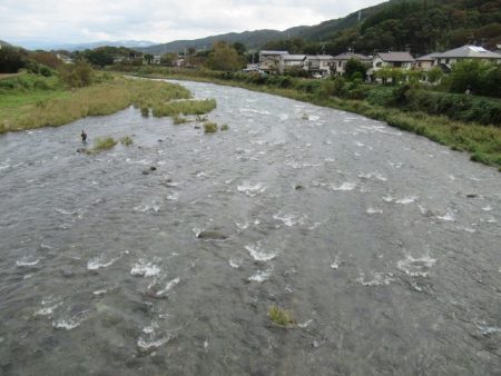 狩野川（狩野川漁業協同組合） 釣果