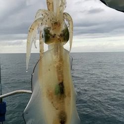 宝昌丸 釣果