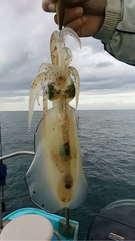 宝昌丸 釣果