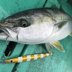 広進丸 釣果