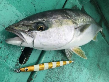 広進丸 釣果