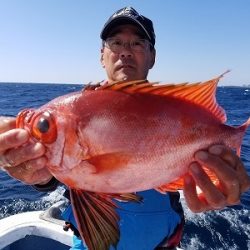 しまや丸 釣果