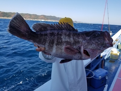 しまや丸 釣果