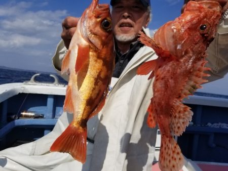 しまや丸 釣果