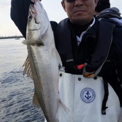 めだか屋 釣果