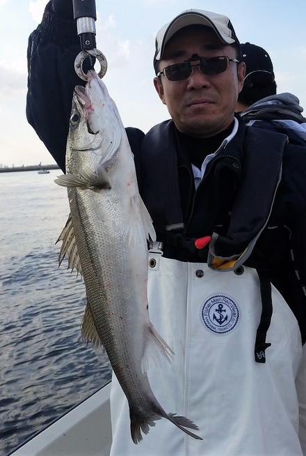 めだか屋 釣果