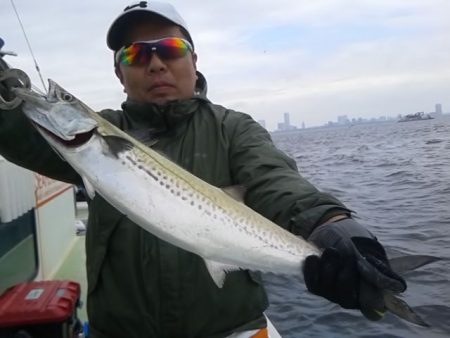 さわ浦丸 釣果