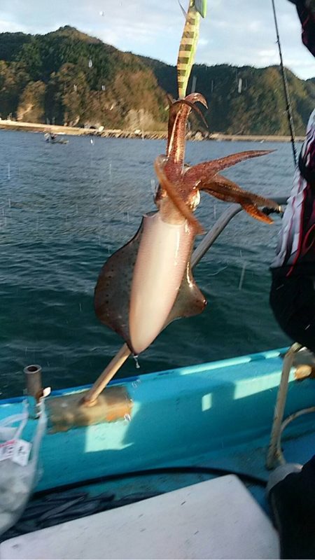 宝昌丸 釣果