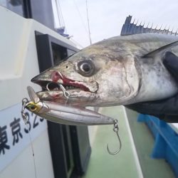 さわ浦丸 釣果