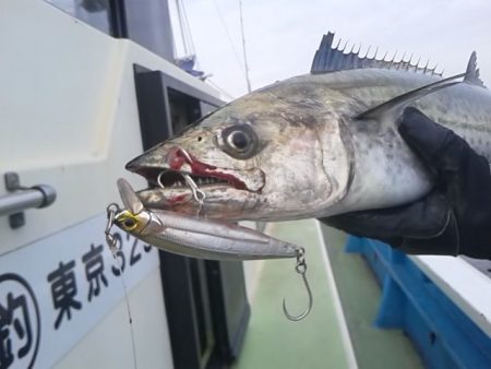 さわ浦丸 釣果