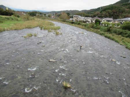 狩野川（狩野川漁業協同組合） 釣果